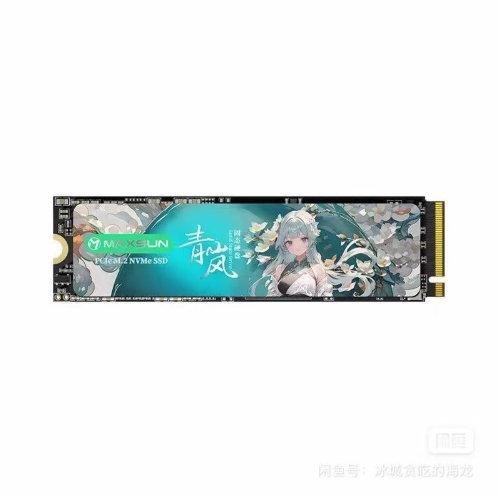 Minisun Qinglan NM300A, 512 GB - Nvme Ssd recensie en prijs